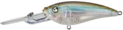 River2Sea Tactical DD 3 Inch Deep Diving Crankbait 25 River2Sea Tactical DD 3 Inch Deep Diving Crankbait -Famous Fishing Store TacticalDDCrank7511AClearWaterMinnow a0bfdd70 ee46 4b86 969b fe356401e331