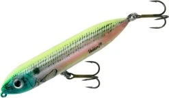 Heddon Super Spook Jr. 3 1/2 Inch Topwater Walker -Famous Fishing Store X9236HOS