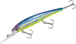 Bandit Suspending Minnow Walleye Deep -Famous Fishing Store bdtsm01 blueshiner
