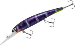 Bandit Suspending Minnow Walleye Deep -Famous Fishing Store bdtsmol161 sharkbait