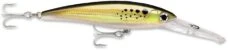 Rapala X-Rap Magnum 30 Big Game Slash Bait -Famous Fishing Store bunker e98f4d72 699f 4d80 8997 f69d015a741f