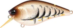 Lucky Craft LC 2.5 Shallow Squarebill Crankbait -Famous Fishing Store cameleon brown craw