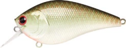 Lucky Craft LC 2.5 Shallow Squarebill Crankbait -Famous Fishing Store copper 2Bgreen 2Bshad