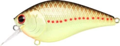 Lucky Craft LC 2.5 Shallow Squarebill Crankbait -Famous Fishing Store copper 2Bperch