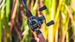 Daiwa Steez CT SV Baitcasting Reel -Famous Fishing Store daiwa steez ct sv 5