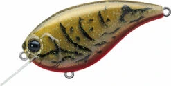 Evergreen International Flat Force 4 Flat-Sided Shallow Diving Crankbait 30 Evergreen International Flat Force 4 Flat-Sided Shallow Diving Crankbait -Famous Fishing Store ever green ff 216 live crawdad