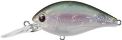 Evergreen International CR-8 Medium Diving Crankbait -Famous Fishing Store evergreen CR 10 440 ghost wakasagi 3d9928f0 9fc4 4dde bf94 43a592b3e0c6
