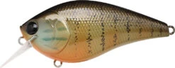 Lucky Craft LC 2.5 Shallow Squarebill Crankbait -Famous Fishing Store gold pumpkin seed