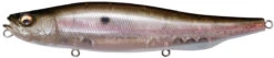 Megabass Megadog 8.6 Inch Topwater Walker 16 Megabass Megadog 8.6 Inch Topwater Walker -Famous Fishing Store megadog mb gizzard
