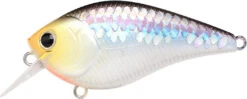 Lucky Craft LC 2.5 Shallow Squarebill Crankbait -Famous Fishing Store ms 2Bimpulse 2Bshad