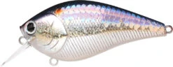 Lucky Craft LC 2.5 Shallow Squarebill Crankbait -Famous Fishing Store ms american shad