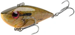 Strike King Red Eyed Shad Tungsten 2 Tap 3/4 Oz. Lipless Crankbait 36 Strike King Red Eyed Shad Tungsten 2 Tap 3/4 Oz. Lipless Crankbait -Famous Fishing Store orange bream e907a702 bfec 4a03 9078 1b2ffae2faa6