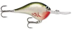 Rapala DT Series Crankbait DT14 -Famous Fishing Store rapala dt10 bleeding olive shiner 070d001b e721 4ee2 9f5c ce93a9d12d56