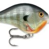Rapala DT Series Crankbait DT14 1 Rapala DT Series Crankbait DT14 -Famous Fishing Store rapala dt10 bluegill 98c0ebc5 e23f 49ee 9c06 51cbf38bd703