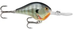 Rapala DT Series Crankbait DT14