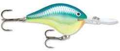 Rapala DT Series Crankbait DT14 -Famous Fishing Store rapala dt10 caribbean shad 257fc072 197c 4274 86ed 0ef950c63cc0