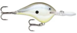 Rapala DT Series Crankbait DT14 -Famous Fishing Store rapala dt10 disco shad f51a7126 74c3 492b 9cd5 31ab8f430d8a