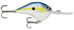 Rapala DT Series Crankbait DT14 -Famous Fishing Store rapala dt10 helsinki shad a427dadf dc8f 4519 b6fd 0cc072acee6a
