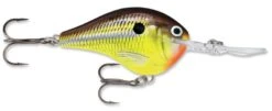Rapala DT Series Crankbait DT14 -Famous Fishing Store rapala dt10 hot mustard 02f0ad77 dcc4 488f 98e0 686fa6c67e93