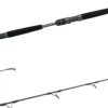 Daiwa Saltiga Jigging Series Spinning Rods -Famous Fishing Store saltiga spin main