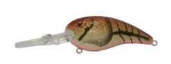 SPRO Mike McClelland RkCrawler 55 Deep Diving Crankbait 30 SPRO Mike McClelland RkCrawler 55 Deep Diving Crankbait -Famous Fishing Store spro rkcrawler mud bug 6061e792 0f33 460d 8629 f54528c12c72