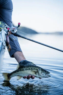 Temple Fork Outfitters Tactical Elite Bass Spinning Rods 26 Temple Fork Outfitters Tactical Elite Bass Spinning Rods -Famous Fishing Store tfo tactical elite bass bottom banner lifestyle 1 1 3aefa395 da73 4318 948c 1a40ec1d5732