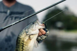 Temple Fork Outfitters Tactical Elite Bass Spinning Rods 18 Temple Fork Outfitters Tactical Elite Bass Spinning Rods -Famous Fishing Store tfo tactical elite bass bottom banner lifestyle 5 1 8cce2bf0 8629 4e5b 8764 3e02c6dac99d