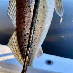 Temple Fork Outfitters Trout-Panfish Spinning Rods -Famous Fishing Store tfo trout panfish spots