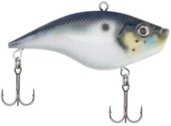 Berkley Warpig Lipless Crankbait -Famous Fishing Store warpig blue back