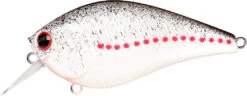 Lucky Craft LC 2.5 Shallow Squarebill Crankbait -Famous Fishing Store white 2Bshad